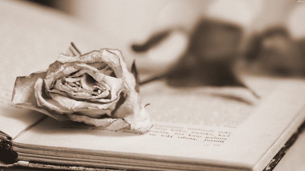 A death certificate is an official document issued in by a General Register or Vital Records Office. This official document is just as important as the marriage certificate or birth certificate and it is used to legally confirm that a person has died.