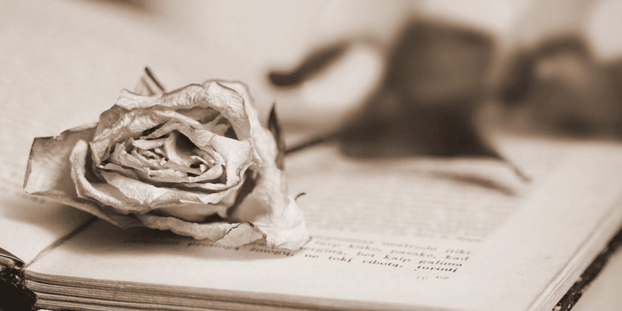 traduccion certificado defuncion