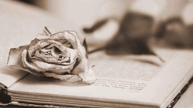 traduccion certificado defuncion